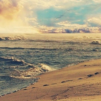 tsofiabens's profile picture. AliceM Discord