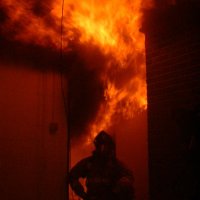 Steve 119 (@steveba16863860) 's Twitter Profile