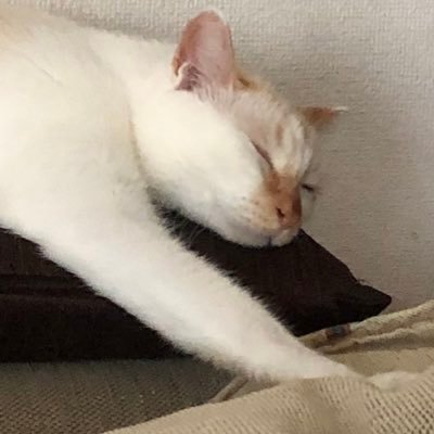 サブあるく Profile