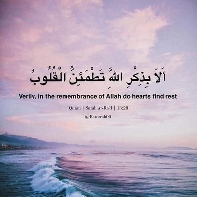 profm80's profile picture. الأخبار العامة