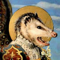 Possum Lover(@BigBlobApe) 's Twitter Profile Photo