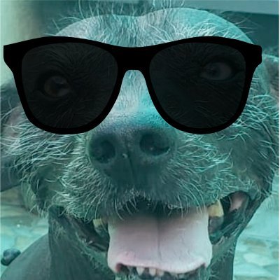 xolos4ever's profile picture. Reporting good info