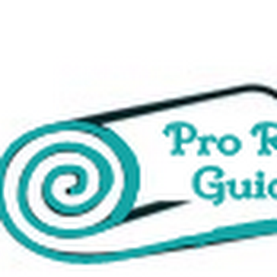 Professional Rug Guide is the complete  guidelines  of carpet  cleaning.