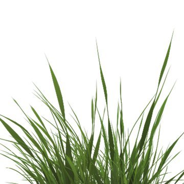 Touch grass and remember what it is all for.
