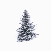 Sam Silky (@ssilkworth) 's Twitter Profile