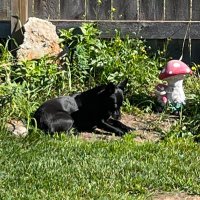 John Nunez (@johnnun51353363) 's Twitter Profile