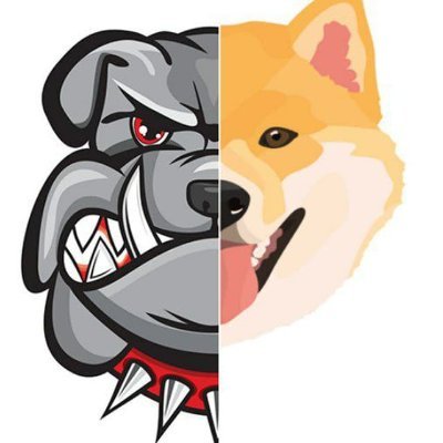 BullDogeX's profile picture. 5% BUSD rewards. 💵
Get in ⬇️*