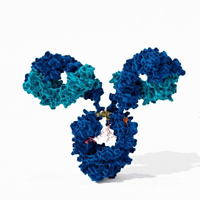 Antibody generation | Antibody engineering | Data visualization | Biomedical illustration