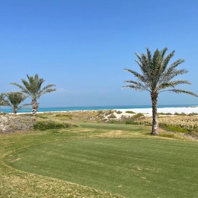 tomhartleygolf's profile picture. 