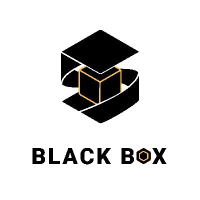 At Black Box our motto “Quality and Integrity in everything
we do.”, is not just something we say, it is what we believe
at our Core.