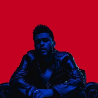 mipxp9's profile picture. insta @marcosthephotographer