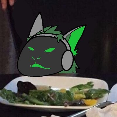 I changed my name from just 'Pitch' because people called me a bitch on accident. Now it's on purpose. Retweeting every Meowscarada I see on my feed.