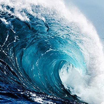 Trader_O's profile picture. 