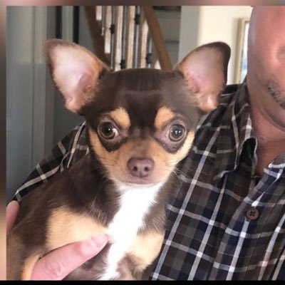 Daniela03628536's profile picture. Owner/Operator of Gel Nails by Daniela & Silky Skin Laser