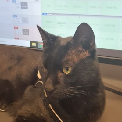 UHDDreamer's profile picture. 