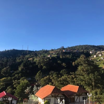 nizabronx's profile picture. ....