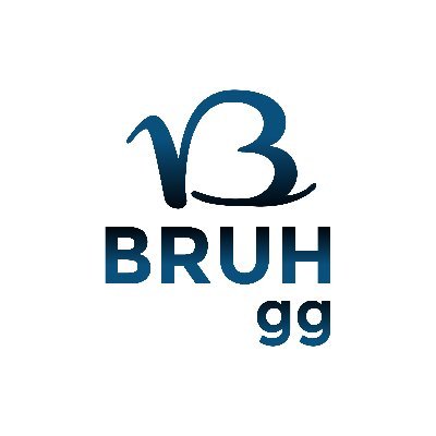 bruhgaming_'s profile picture. German eSports Community | TS IP: BRUHgg