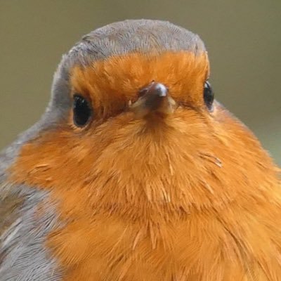 DerethH's profile picture. 