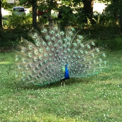 JasonMo54919836's profile picture. 