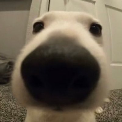 24 år - Playing for:
https://t.co/DOvIb1Dy0Q
https://t.co/Vi8B1i5OSY