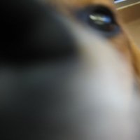 Godel Escher Spock (@adamhill) 's Twitter Profile
