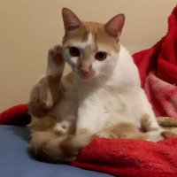 Mari (@marislima_755) 's Twitter Profile