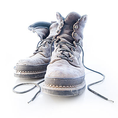 NourishFarm's profile picture. Nourish Community Farm is a social enterprise based at Stanmer park. We provide a safe,inclusive environment for learning and work experience on an organic farm