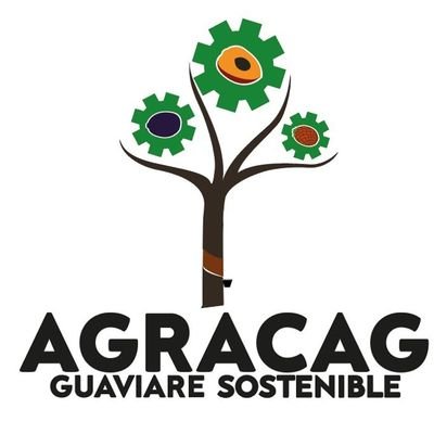 Agroindustria Amazonia de Caucheros del Guaviare, se dedica a la transformación de caucho natural.