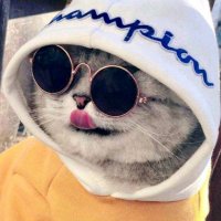 Kenedye Join (@kenedyej) 's Twitter Profile