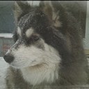 Rich Weber - @copake12516 - Twitter