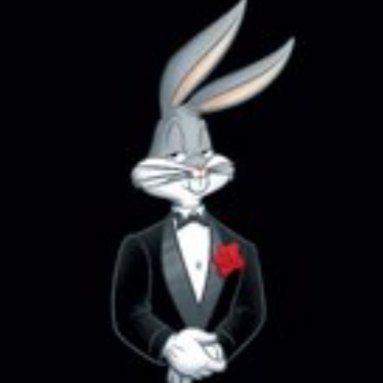 rabbit_rascally Profile Picture