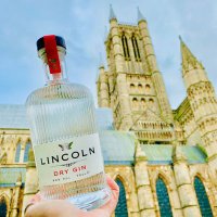 Lincoln Gin (@thelincolngin) Twitter profile photo