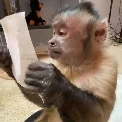 kevin_langarica's profile picture. 