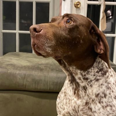 Eggy76052507's profile picture. #birddog #sexyaf #earlymornings #wrkhard #lovebitches #spottybod