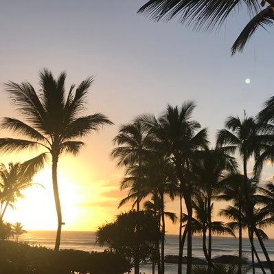 白い砂浜・椰子の木🌴コバルトブルーの海が好き🏖 #ヤシの木を探せ 旅行で撮影した写真に、ヤシの木スタンプ隠し中🤫🍩#MZDAO【好きなものたち】青・空・美しい風景・花・レモンパイ・コーヒー☕️カモミールティ・旅行・ハワイ・ボラボラ島・沖縄・日々感謝🙏