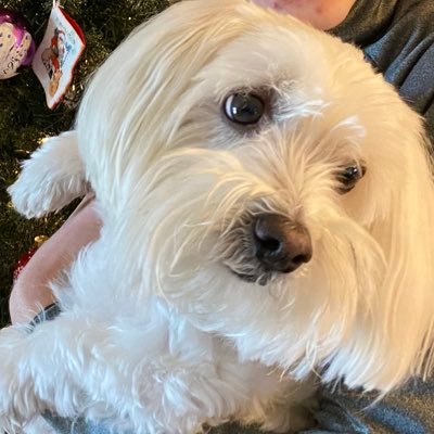 ColeLar58582426's profile picture. 