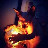 Lane (@lane34495423) 's Twitter Profile
