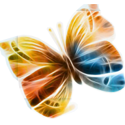 KityBux's profile picture. 