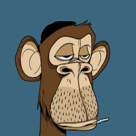 NfTyid's profile picture. 