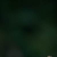 Just a joke (@abhinav11345424) 's Twitter Profile