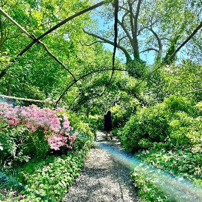 ithinkergoisam's profile picture. 