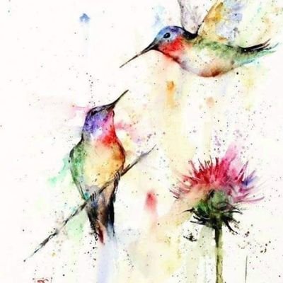 happycamper052's profile picture. 