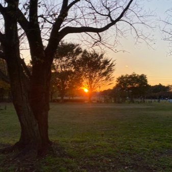 zd_shibadog's profile picture. 