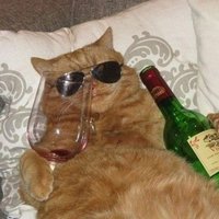 Atlet Tenis Meja (@elblocci_) 's Twitter Profile Photo