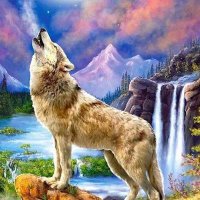 موجب مصري حائل (@bfdhfe) 's Twitter Profile