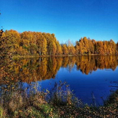 DimokDi's profile picture. #bitcoin #metaverse #Solana