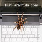 Since our beginning, we have continued to streamline the web hosting process, by creating the ideal hosting experience, and platform for our customers.