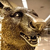 BacteriaBear's profile picture. Adopted by Gov Schwarzenegger from Aspen, left for Brown and Newsom. Miss my forest and miss Sutter Brown. Please don’t dress me up for your protests.