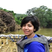 Pritha Dey (@pritha126) 's Twitter Profile