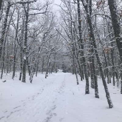 Angel84060053's profile picture. 